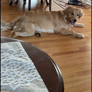 Meet your Posher, Michael